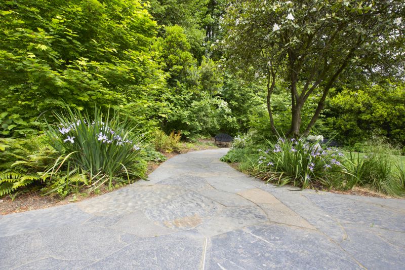 Stone Pathway Installation